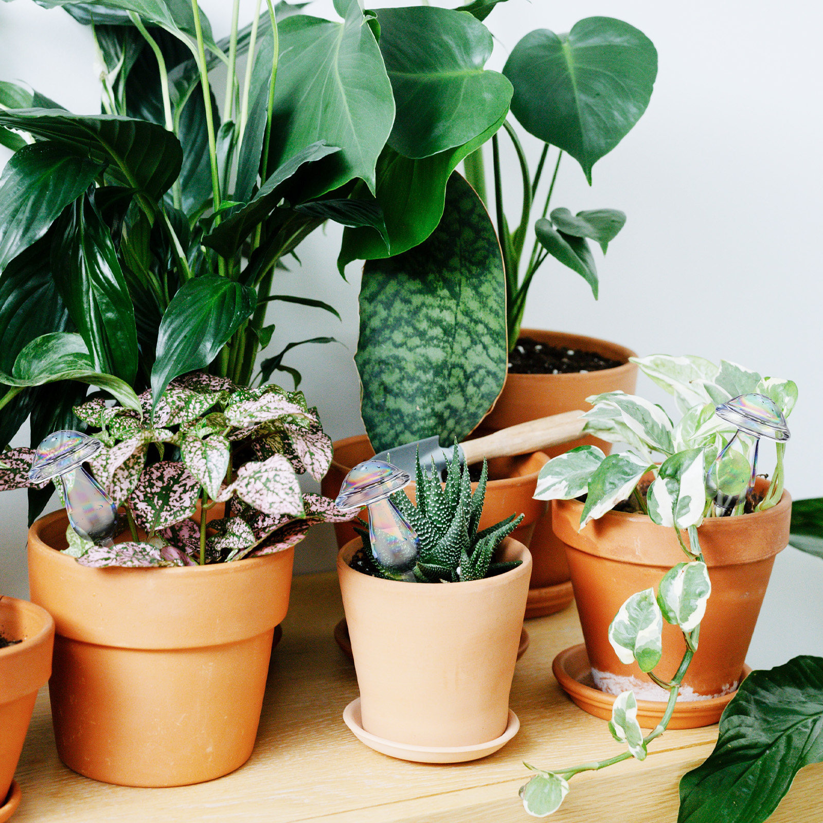 Self Watering Insert - 4 Pcs Pot Watering Device Plants