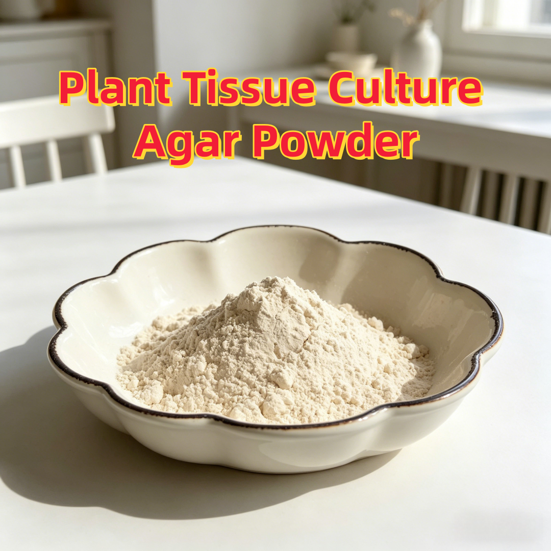 Agar Tissue Culture - High Gel Strength Plant Tissue Culture