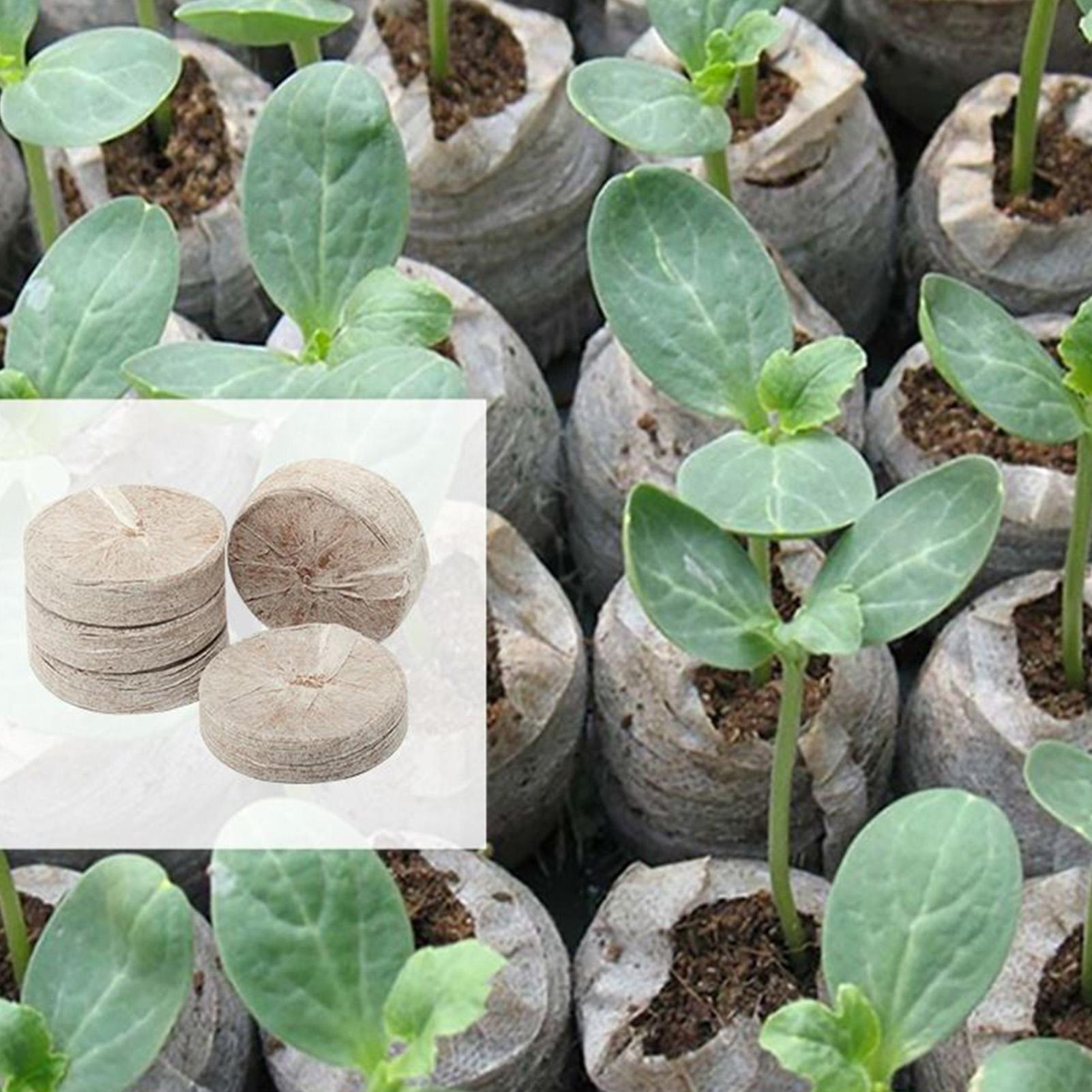 Peat Pellets 100 Piece Potting - Peat Pellet Tray recension och pris