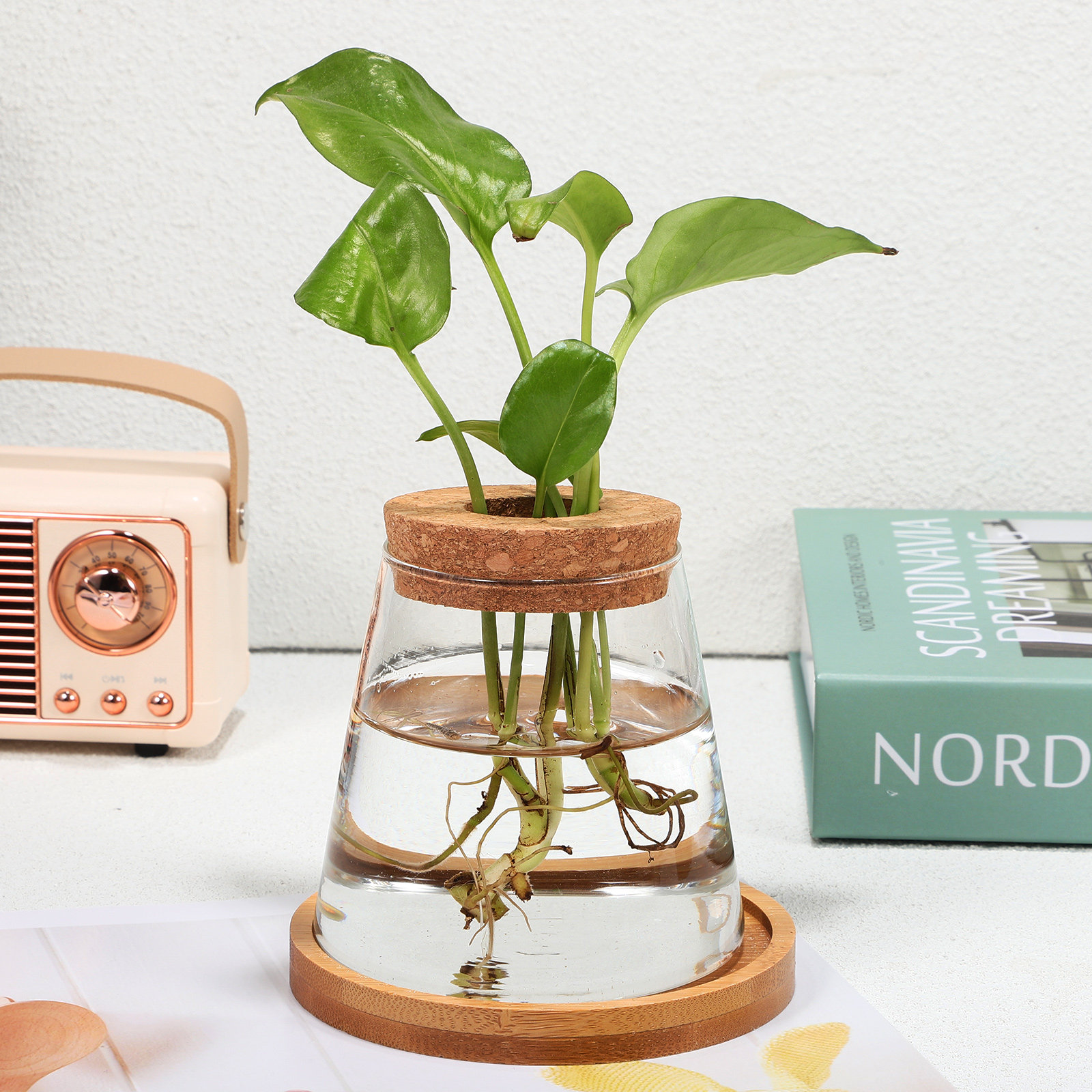 2Pcs Water Planters Glass Prop - Propagation Station Vase recension och pris