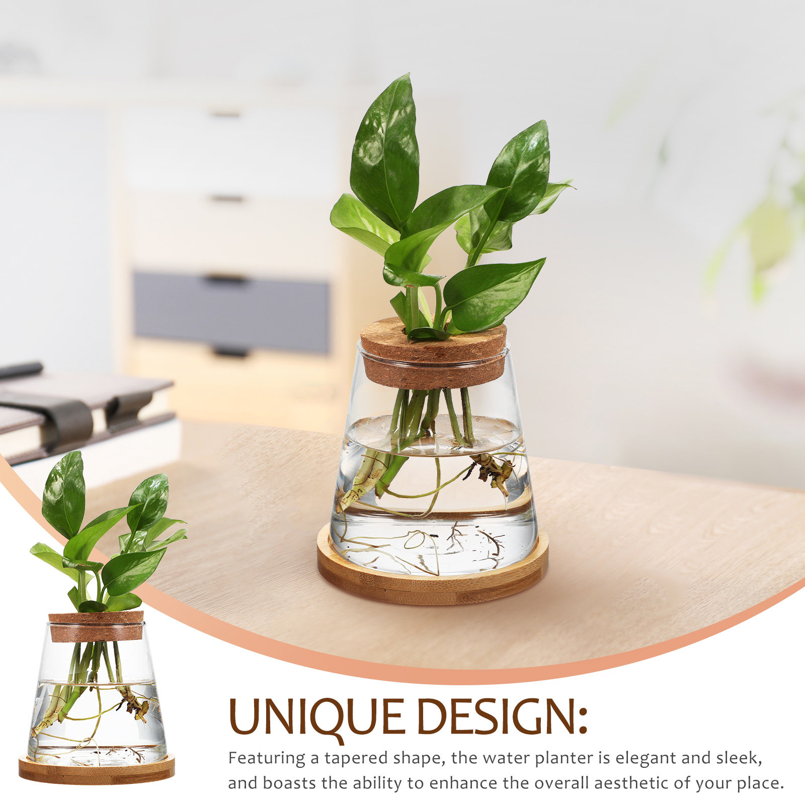 2Pcs Water Planters Glass Prop - Propagation Station Vase recension och pris