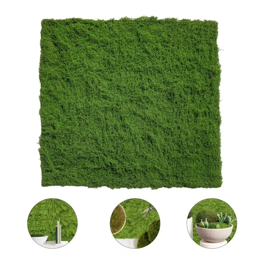 DIY Artificial Grass Rug Lifel - Sphagnum Moss Dry recension och pris