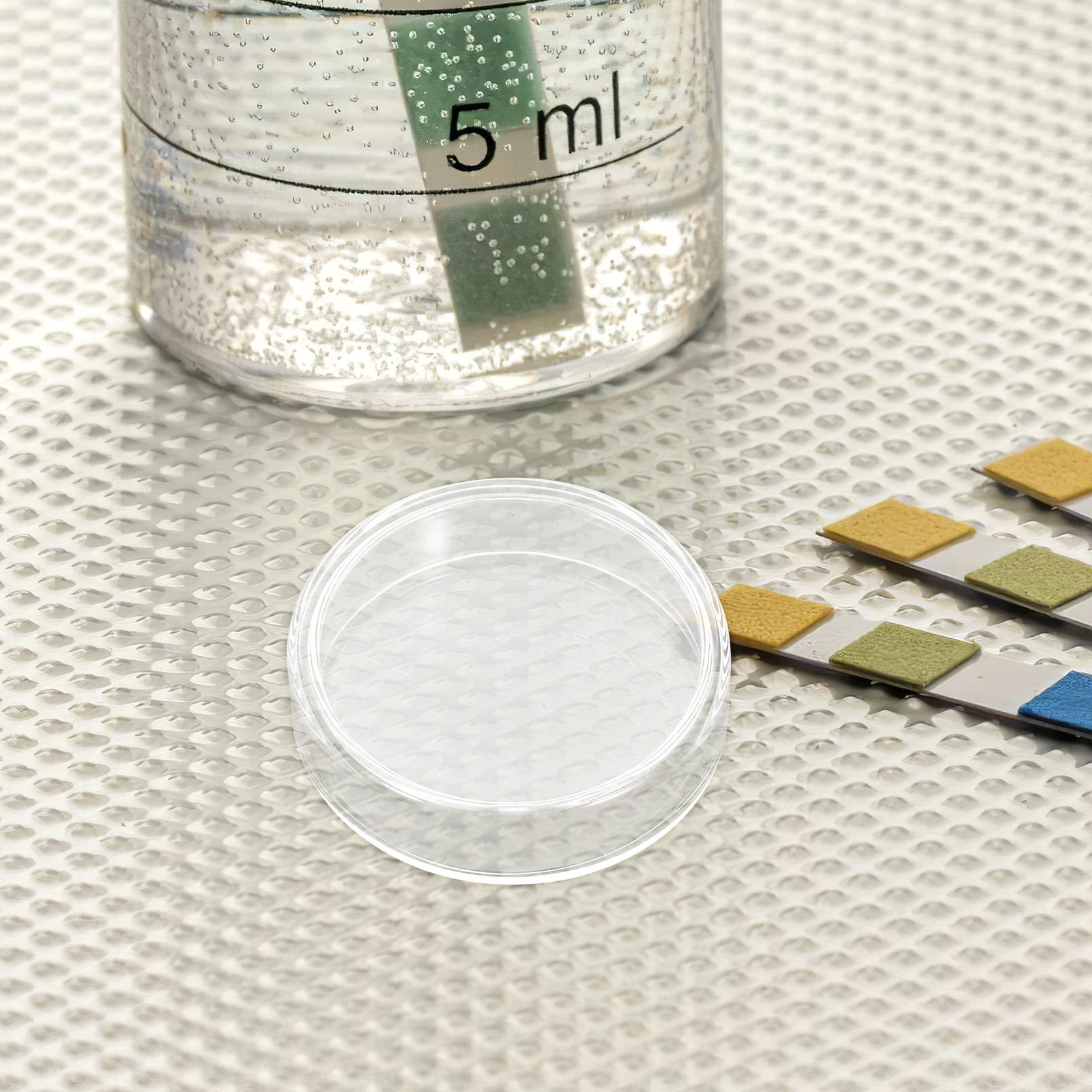 10 Pcs Agar Plates Tissue Cult - Agar Tissue Culture recension och pris