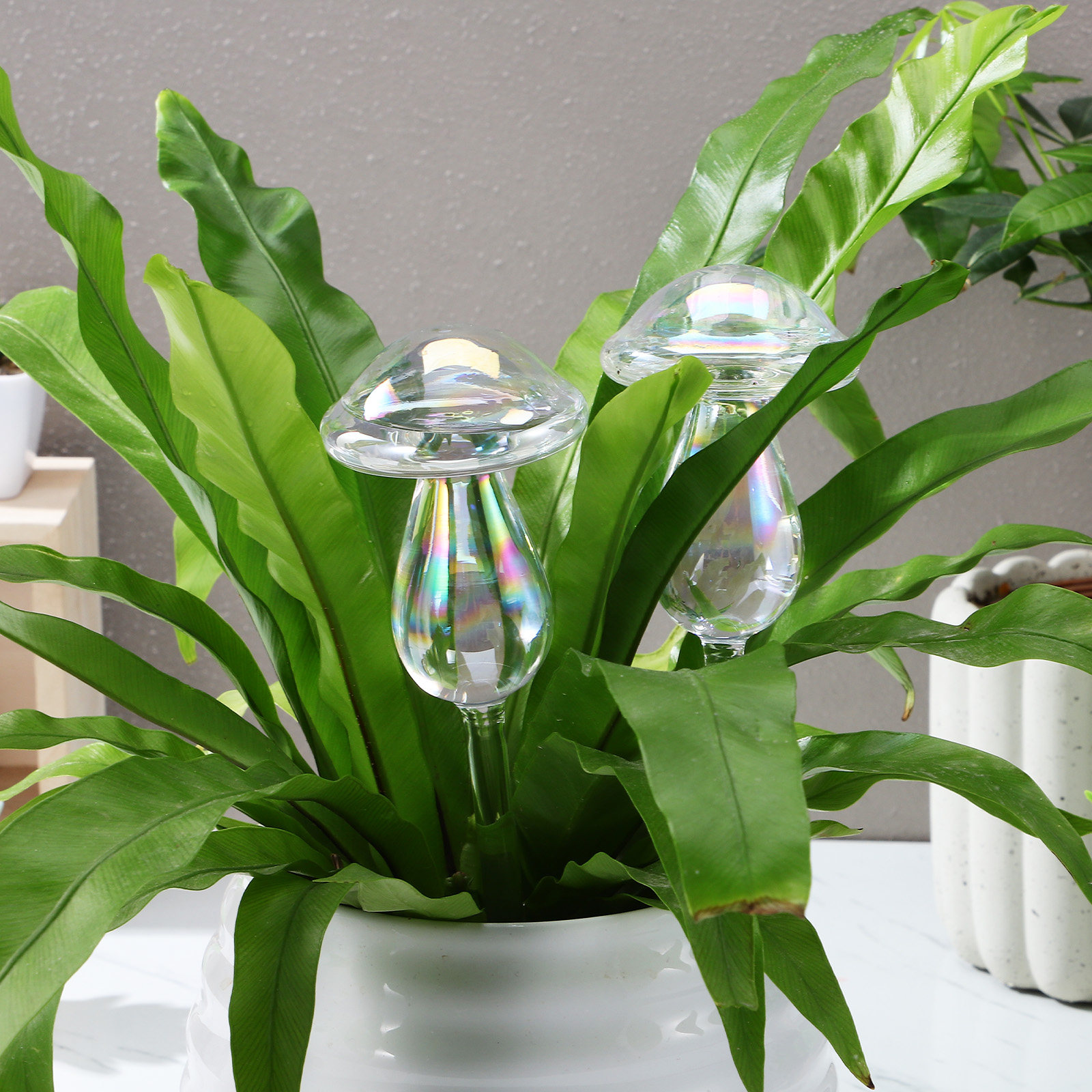 4 Pcs Pot Watering Device Plan - Self Watering Insert recension och pris