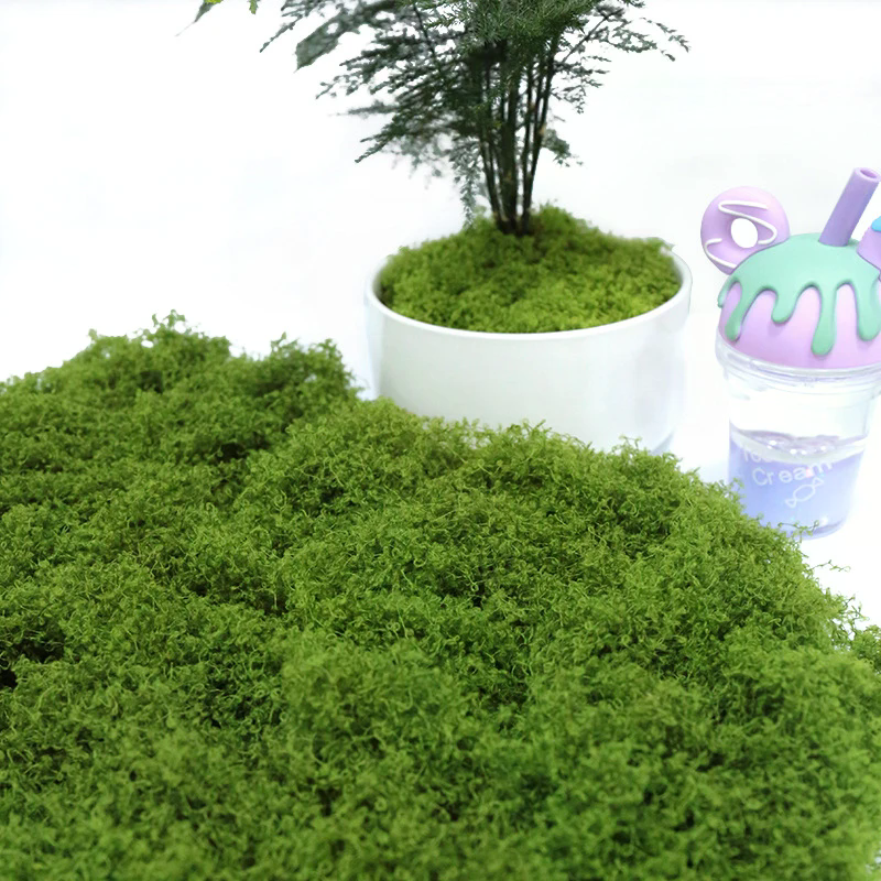 50g Fake Moss DIY Crafts Grass - Sphagnum Moss Dry recension och pris