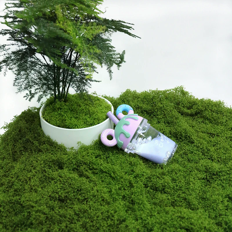 50g Fake Moss DIY Crafts Grass - Sphagnum Moss Dry recension och pris