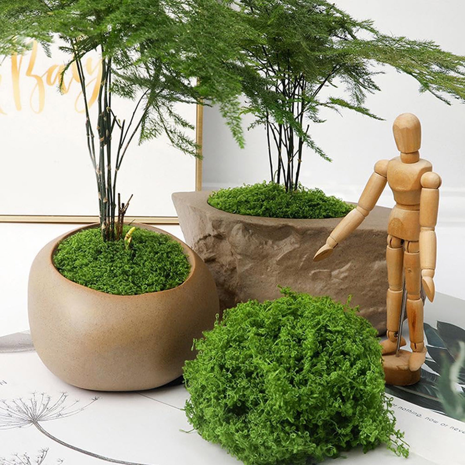 50/200g Artificial Moss For De - Sphagnum Moss Dry recension och pris