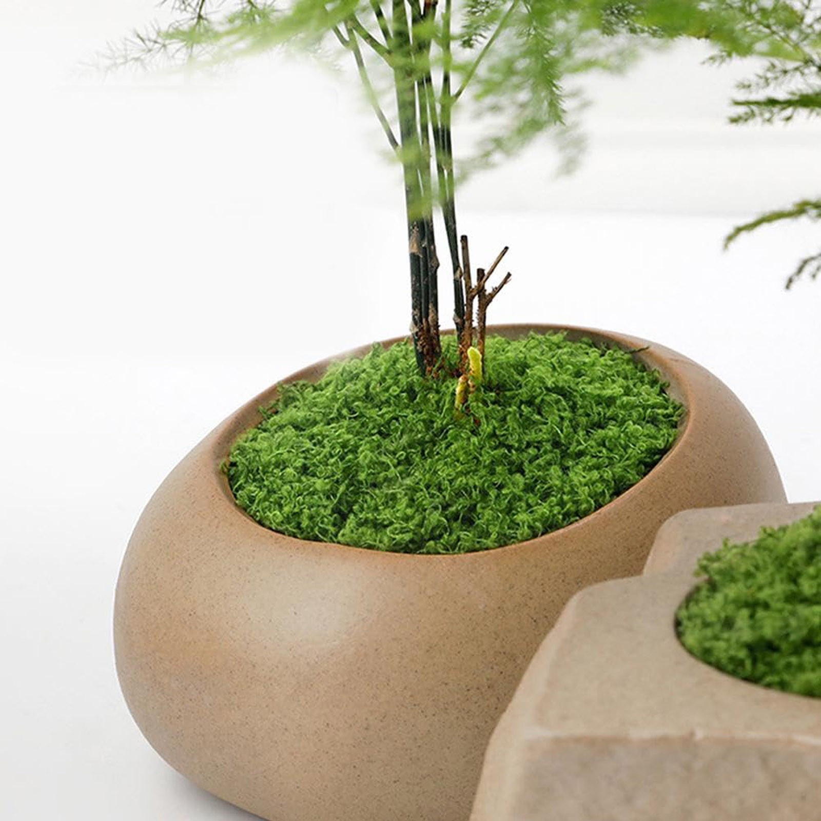 50/200g Artificial Moss For De - Sphagnum Moss Dry recension och pris