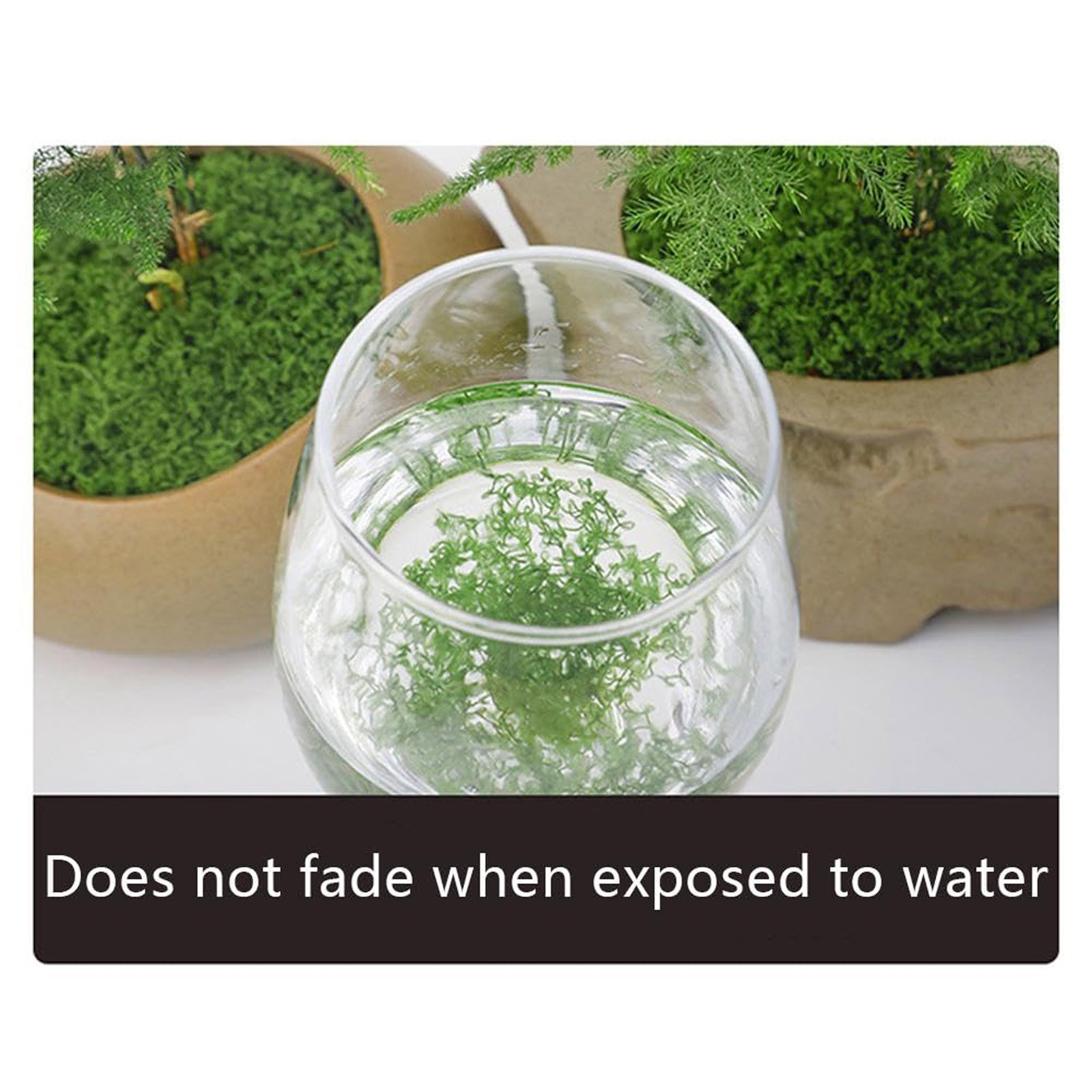 50/200g Artificial Moss For De - Sphagnum Moss Dry recension och pris