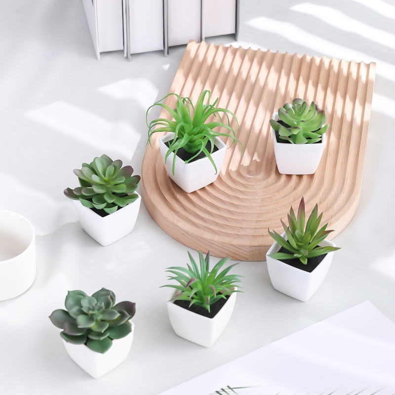 6PCS (1SET) Artificial Plant E - Sphagnum Moss Dry recension och pris