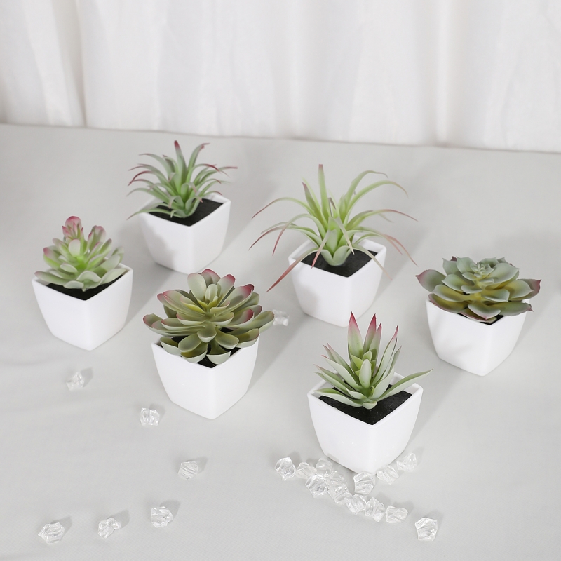 6PCS (1SET) Artificial Plant E - Sphagnum Moss Dry recension och pris