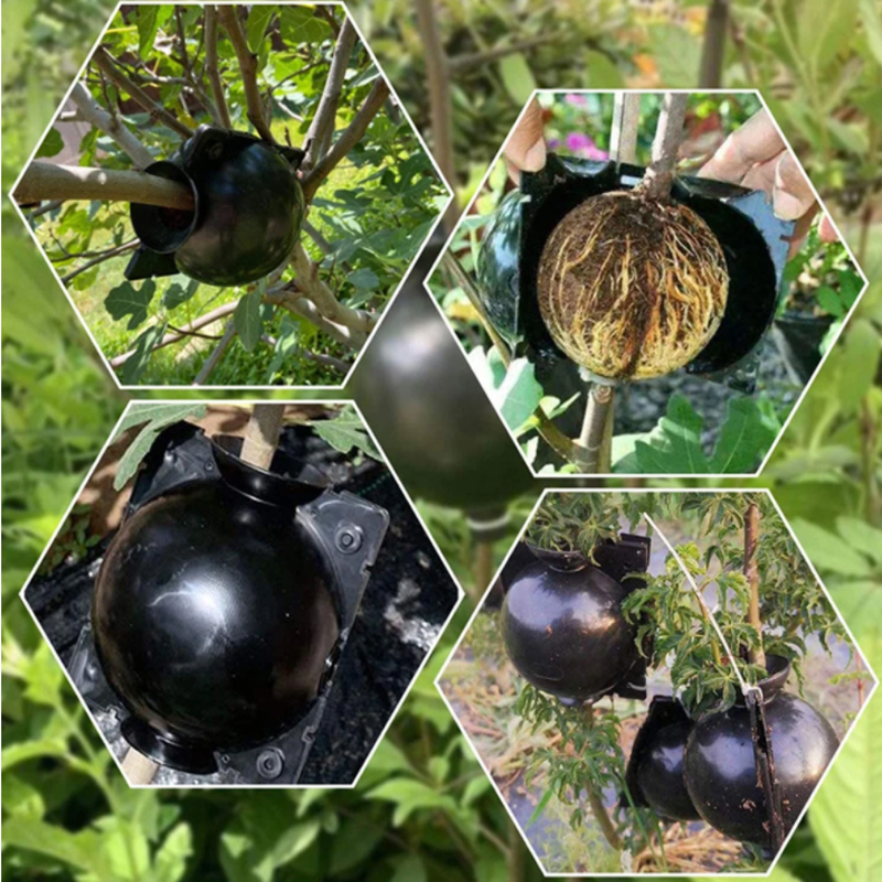 Garden Orchard Plants Grafting - Rooting Gel Clone recension och pris