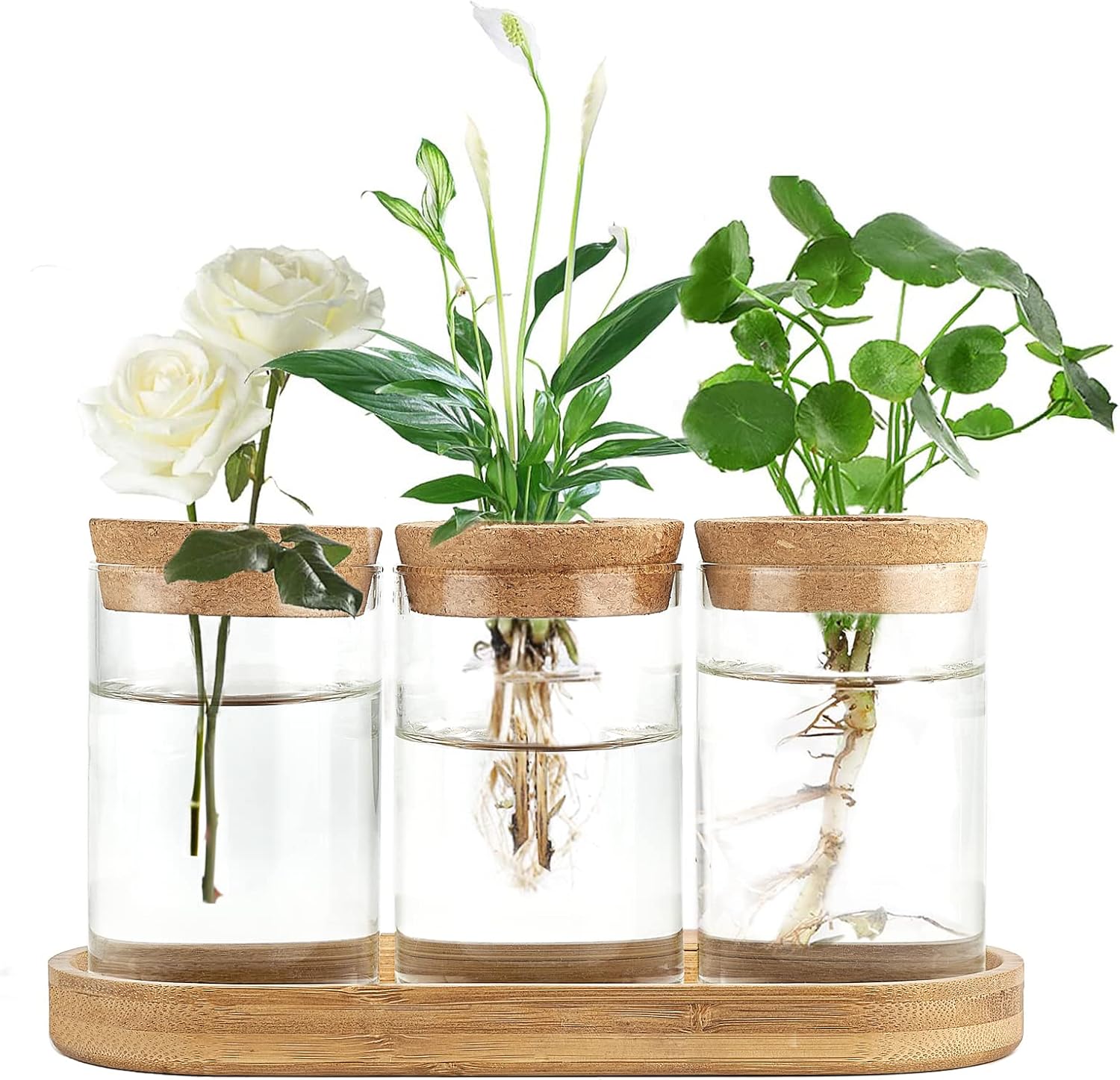 3 Pcs Glass Plant Propagation  - Propagation Station Vase recension och pris