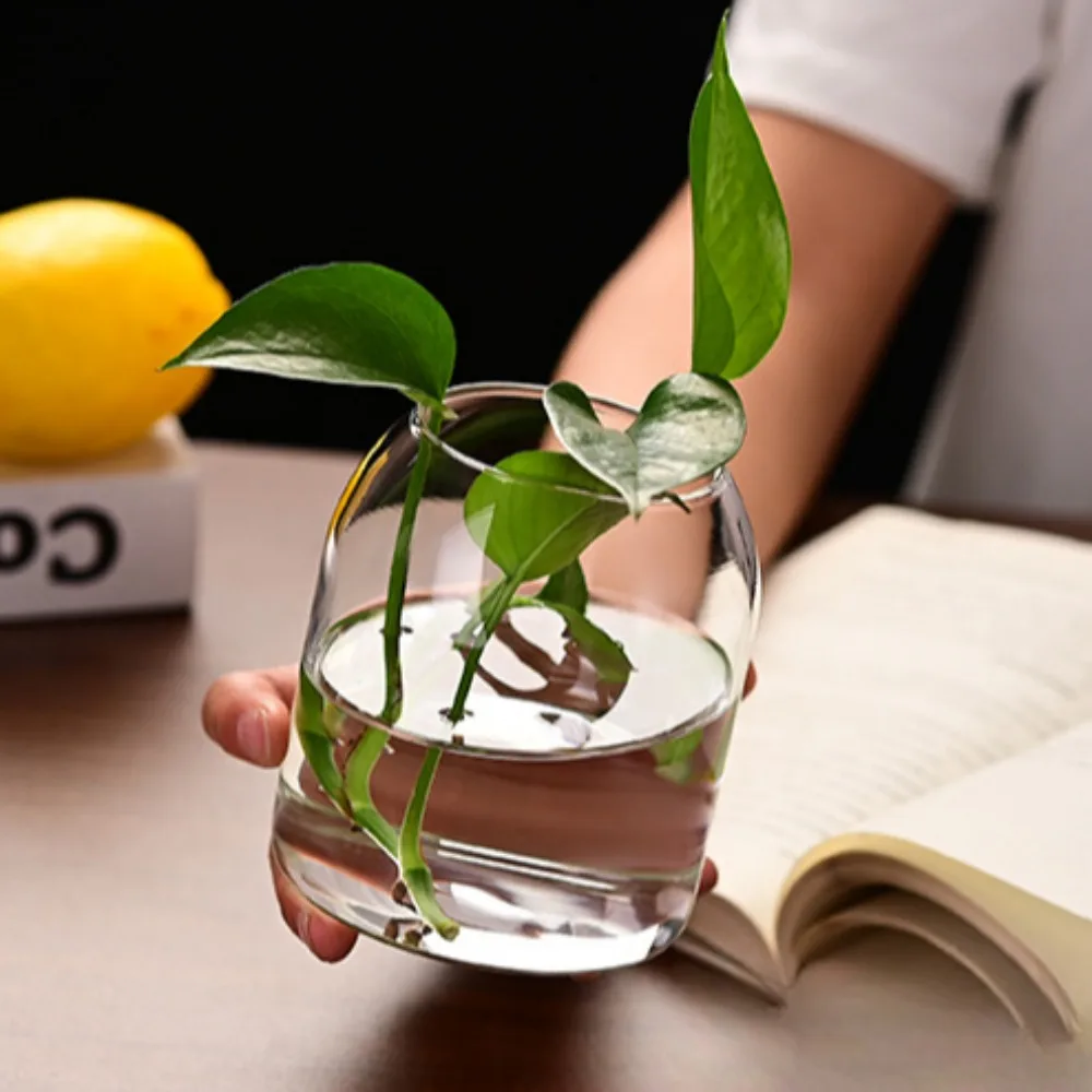 Creative Hydroponic Plant Glas - Propagation Station Vase recension och pris