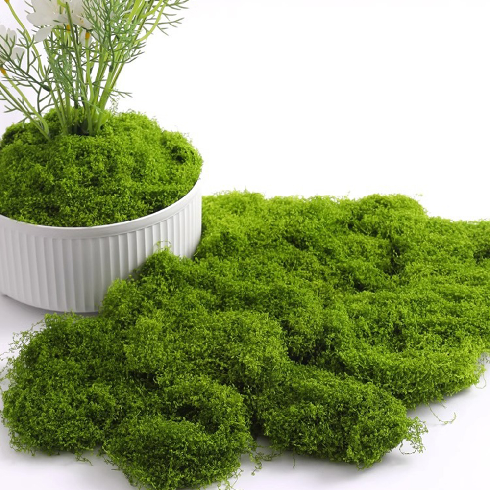20/40/100g Eternal Life Moss D - Sphagnum Moss Dry recension och pris