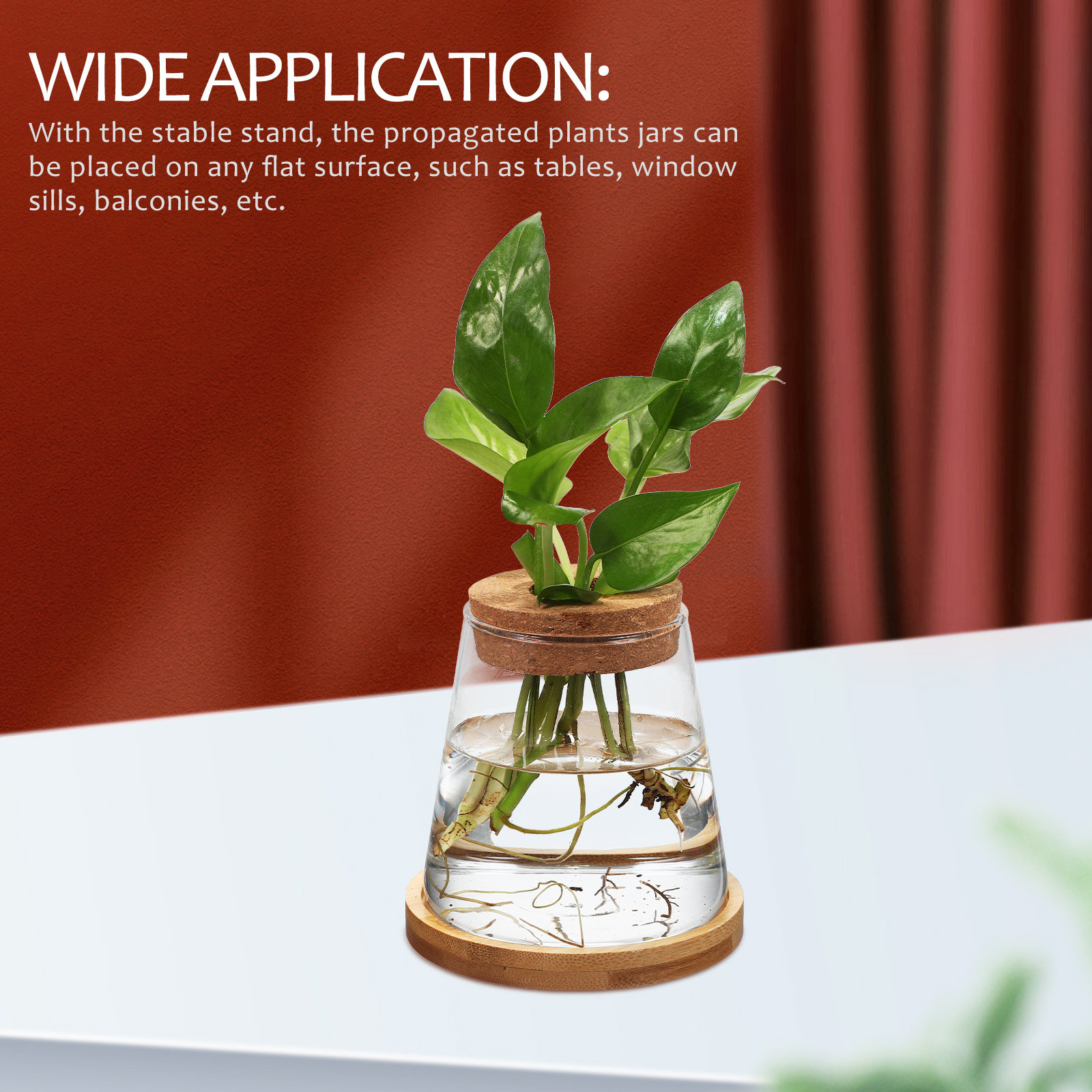 2Pcs Hydroponic Plants Propaga - Propagation Station Vase recension och pris