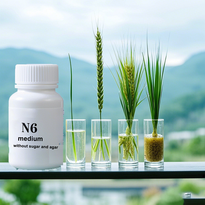 N6 Medium Wtihout Sugar Or Aga - Agar Tissue Culture recension och pris