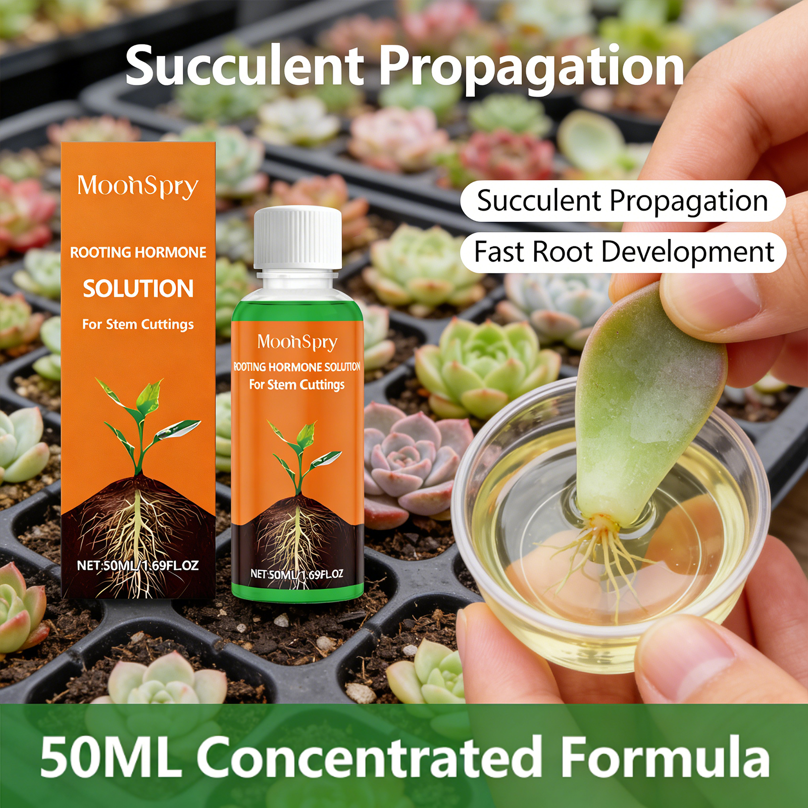 Plant Rooting Agent Effectivel - Root Stimulator Liquid recension och pris