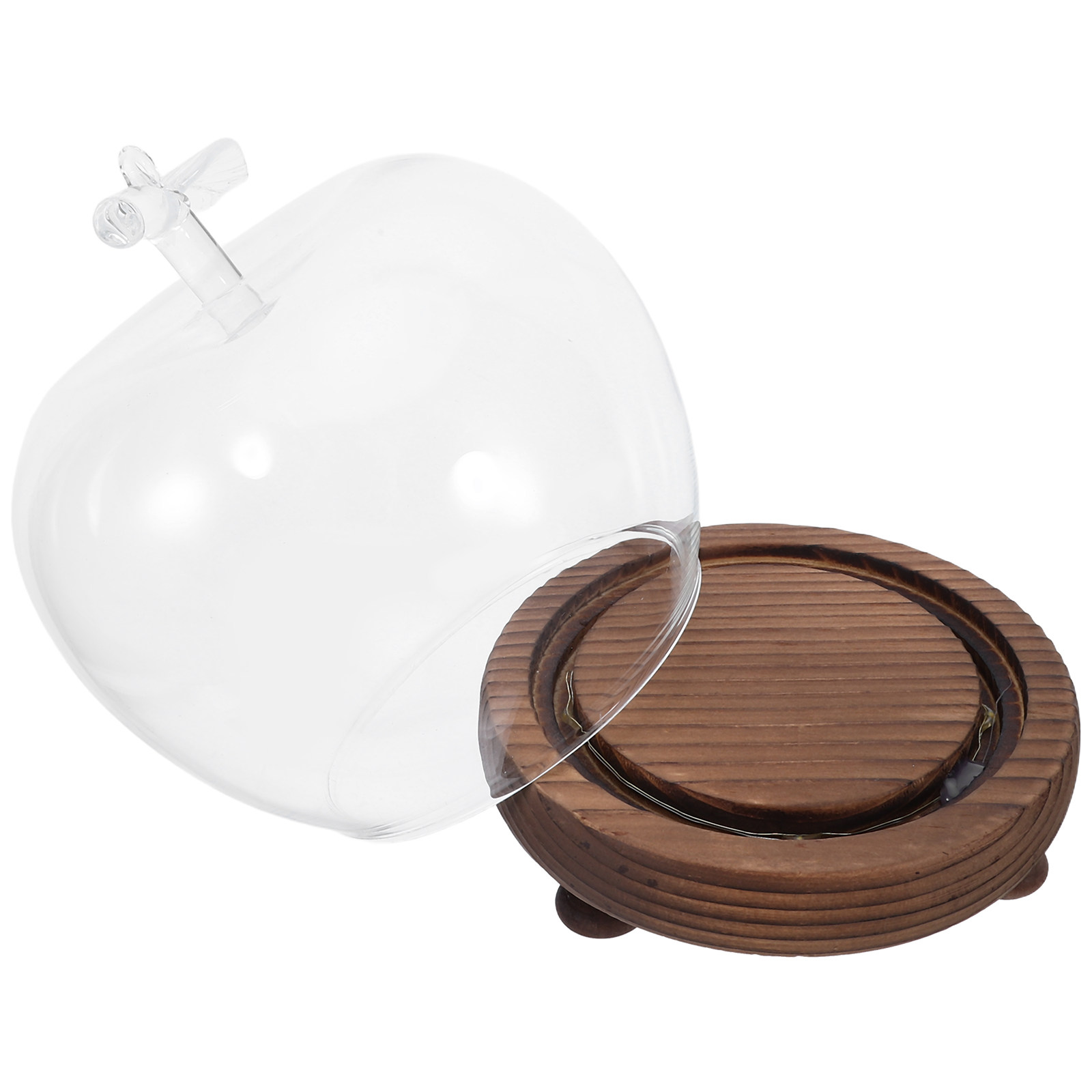 Clear Glass Dome Display with  - Plastic Dome Clear recension och pris