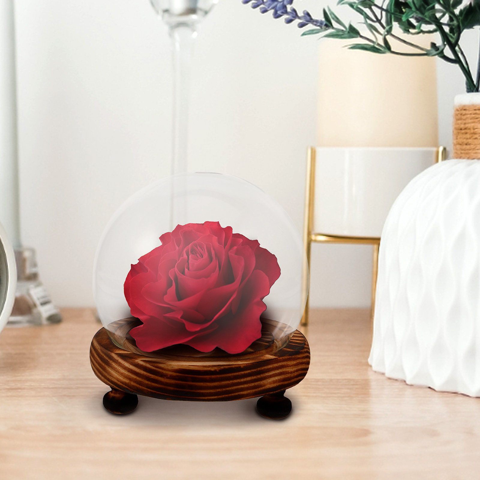 Glass Dome Display Case with W - Plastic Dome Clear recension och pris