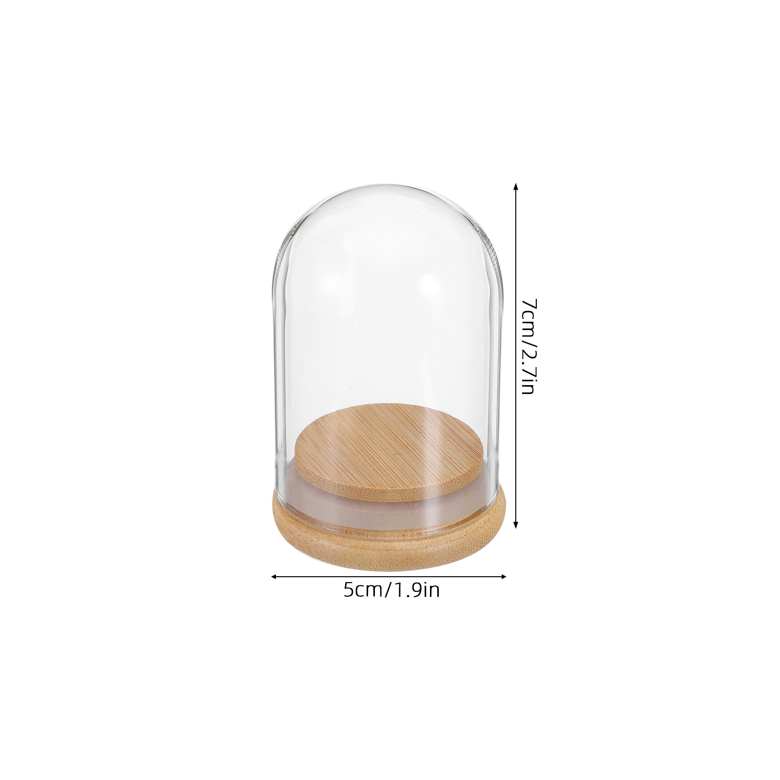 6Pcs Clear Glass Cloche Dome D - Plastic Dome Clear recension och pris