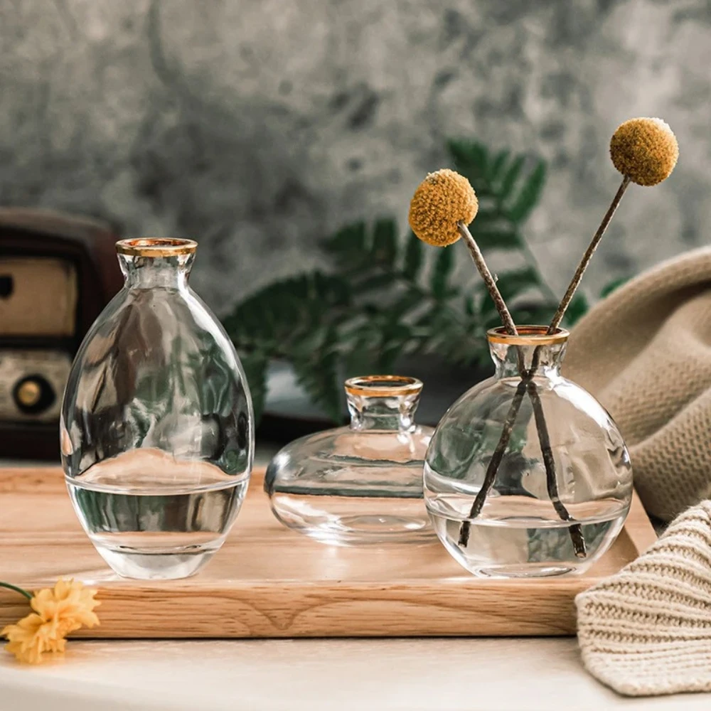 Nordic Transparent Glass Vase  - Propagation Station Vase recension och pris