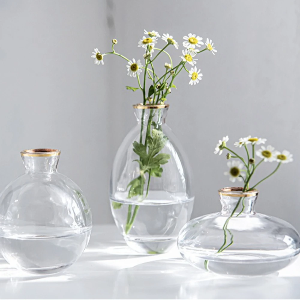 Nordic Transparent Glass Vase  - Propagation Station Vase recension och pris