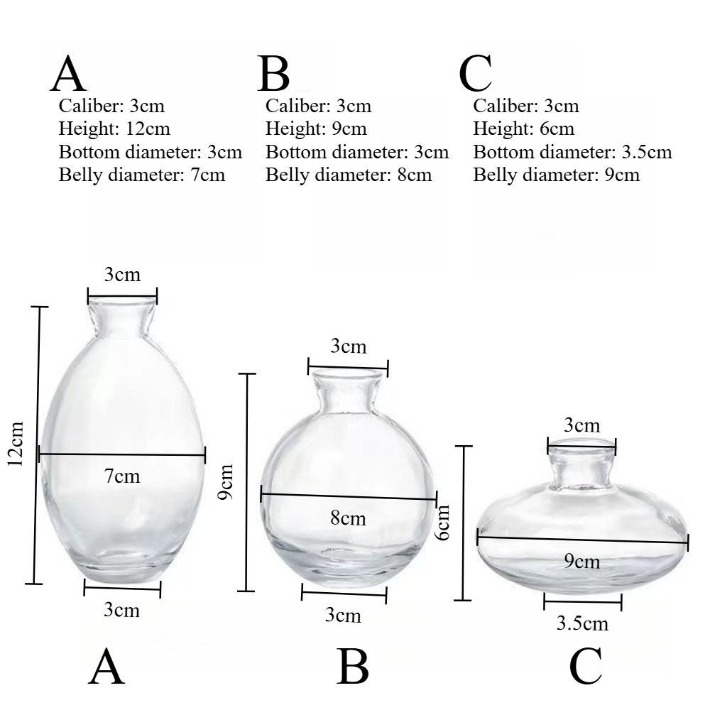 Nordic Transparent Glass Vase  - Propagation Station Vase recension och pris