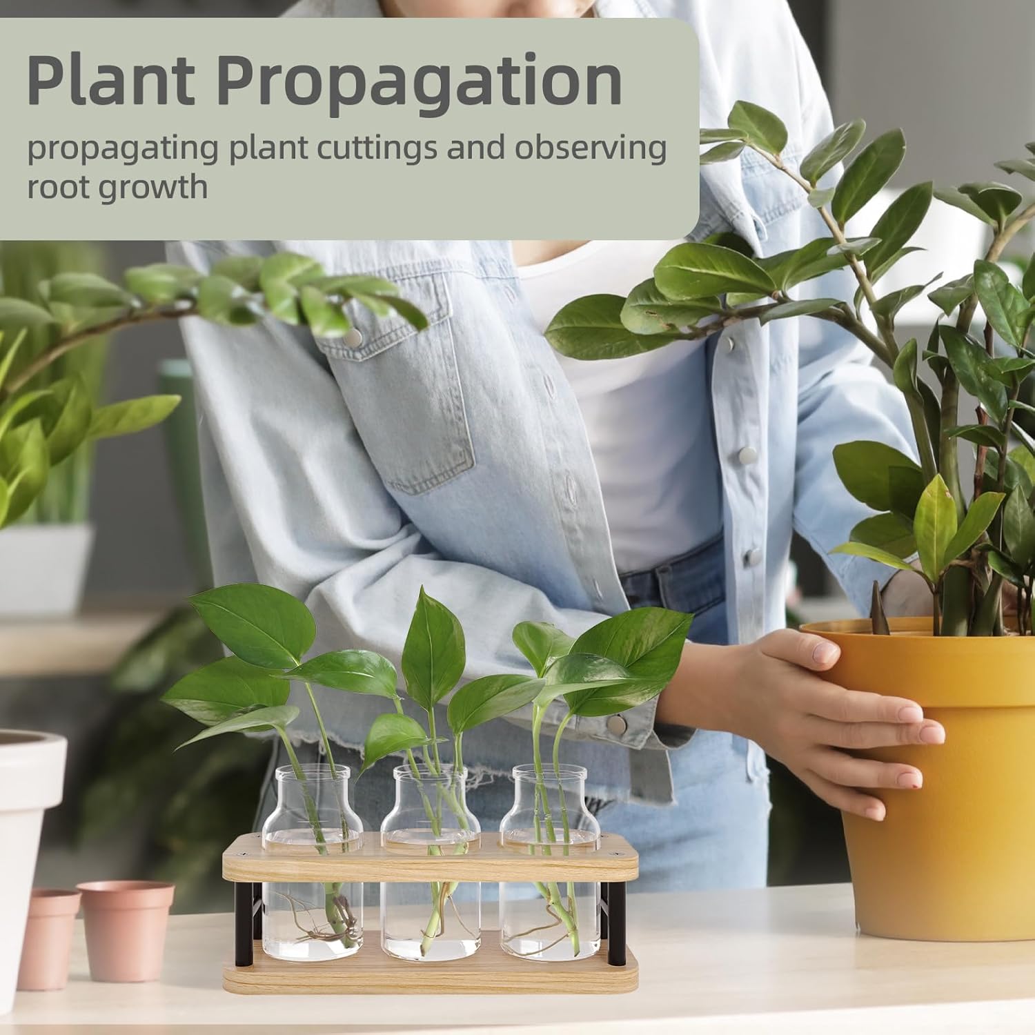 Propagation Station with Woode - Propagation Station Vase recension och pris
