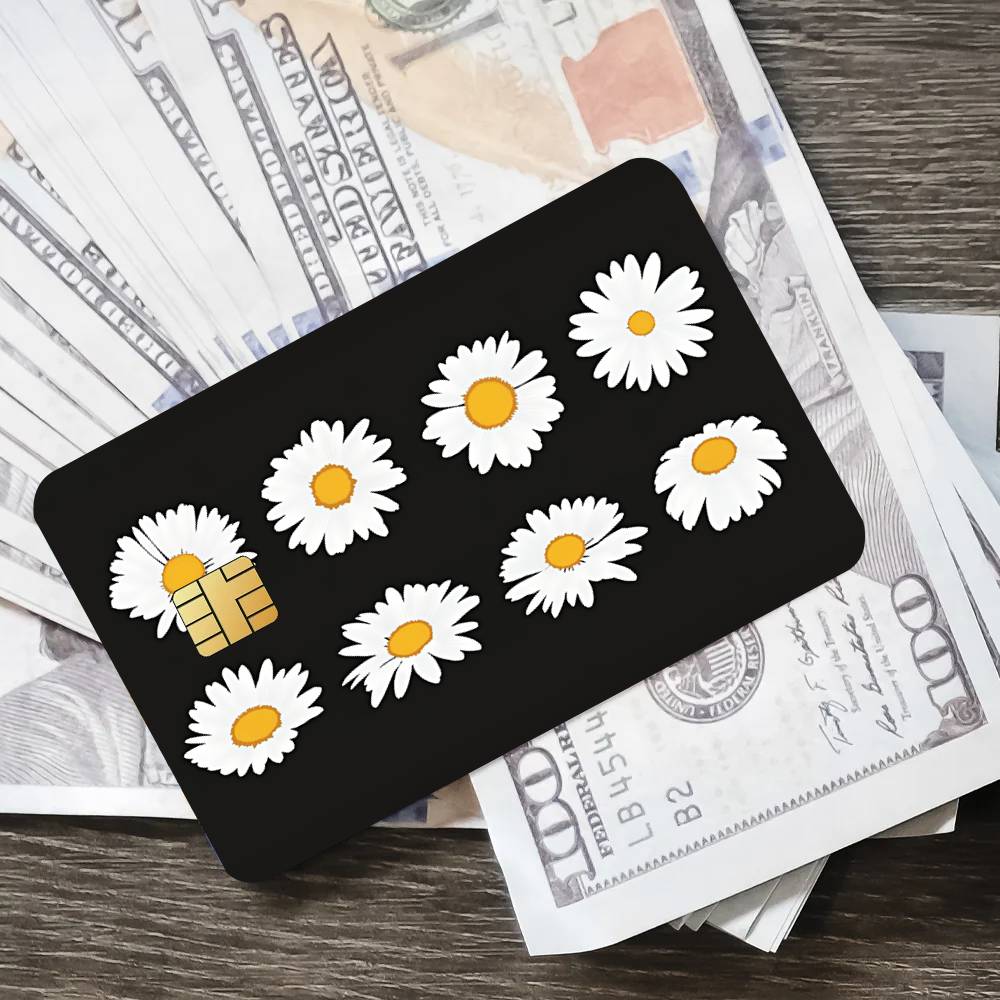 Fashion Art P-Peaceminusone Co - Peat Pellet Tray recension och pris