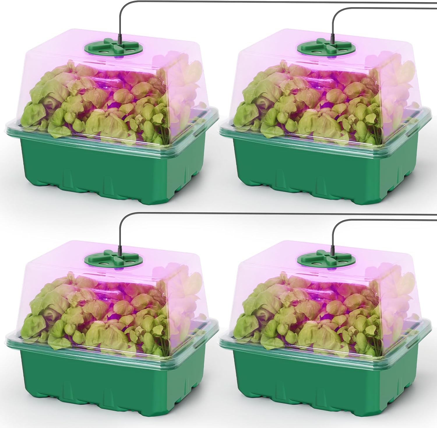Seed Starter Kit with Grow Lig - Humidity Dome Kit recension och pris
