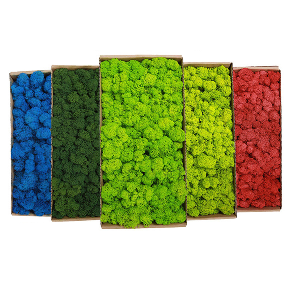 200g Artificial Green Plants M - Sphagnum Moss Dry recension och pris
