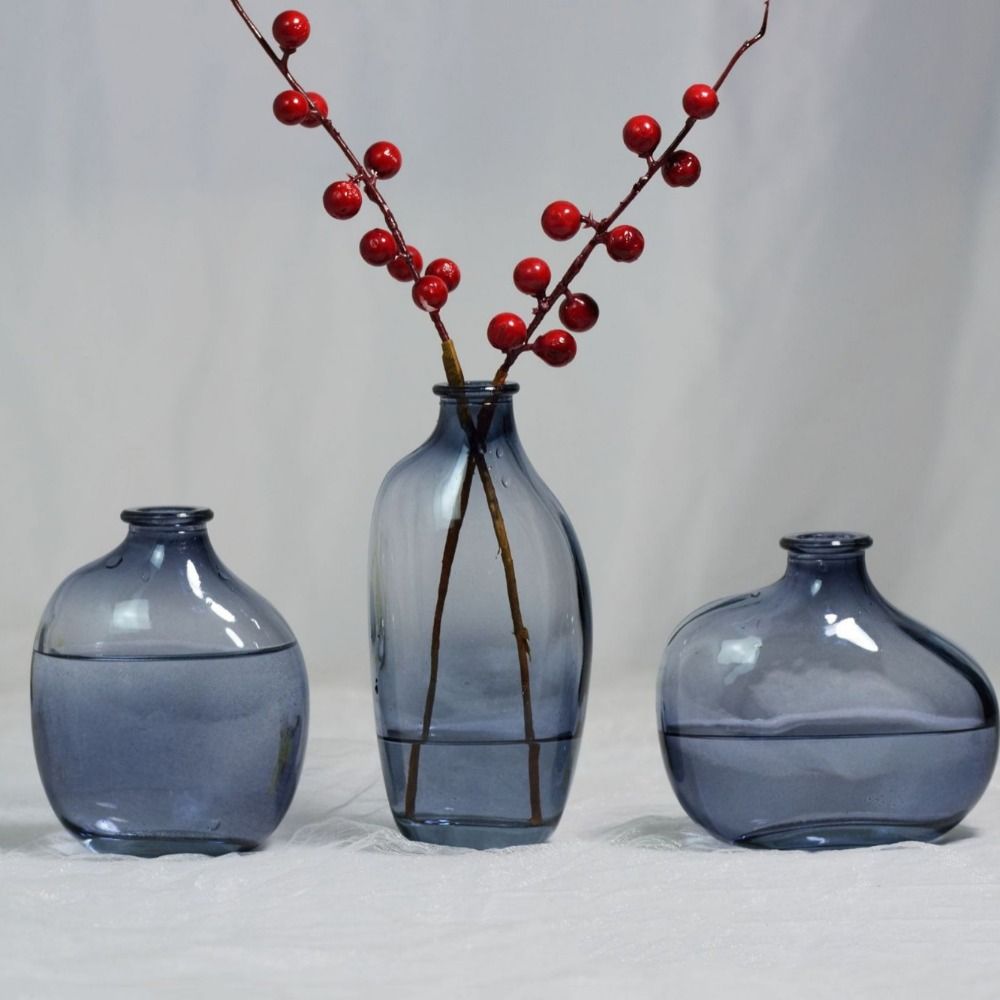 Fashion Retro Flower Vase Glas - Propagation Station Vase recension och pris