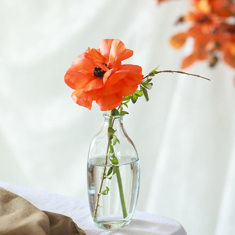 Fashion Retro Flower Vase Glas - Propagation Station Vase recension och pris