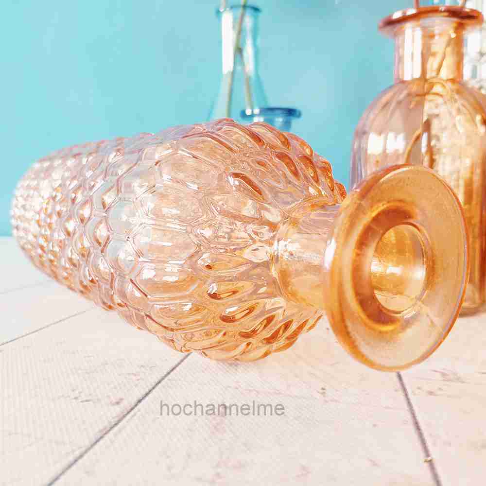 Glass Vase Living Room Decorat - Propagation Station Vase recension och pris