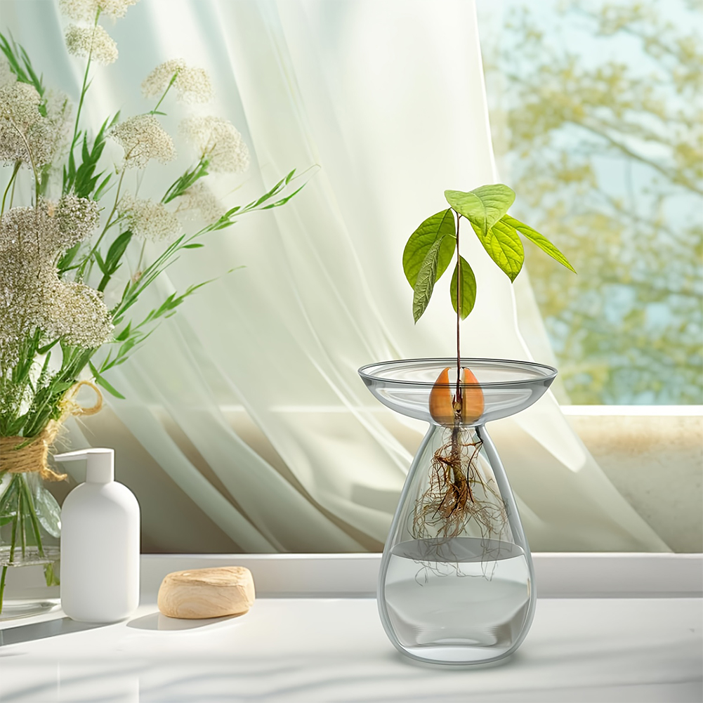 Avocado Seed Starter Vase Tran - Propagation Station Vase recension och pris