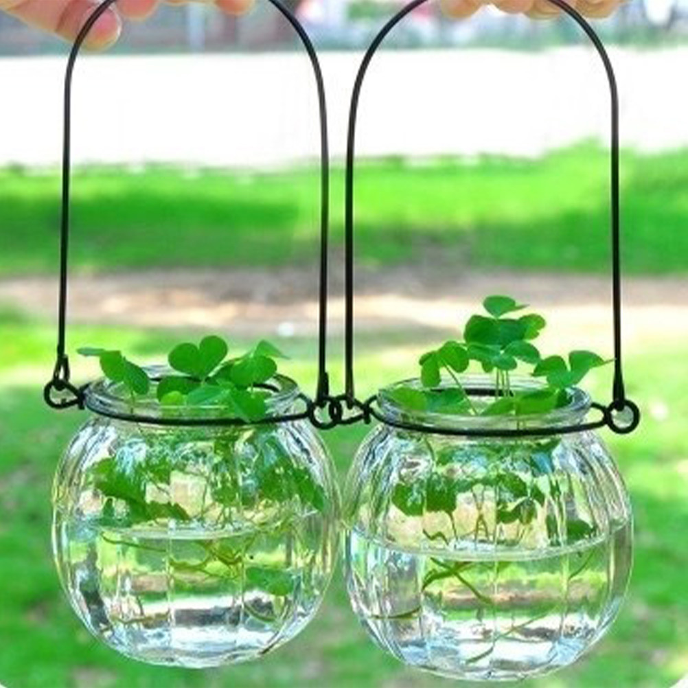 6Pcs Clear Glass Wall Planters - Propagation Station Vase recension och pris