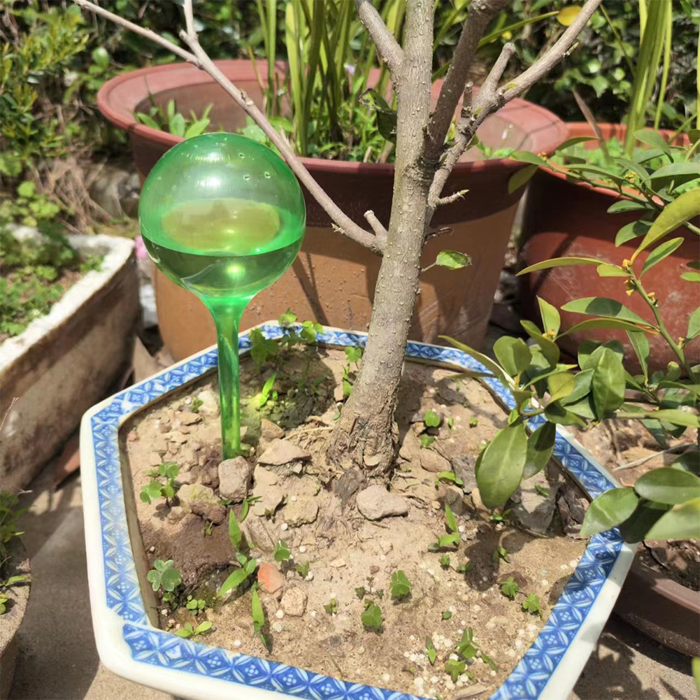 Automatic Plant Watering Bulbs - Self Watering Insert recension och pris