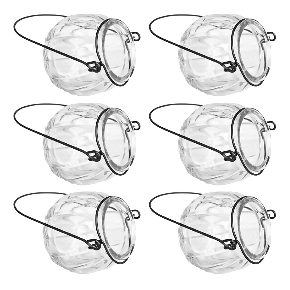 6Pcs Clear Glass Hanging Wall  - Propagation Station Vase recension och pris