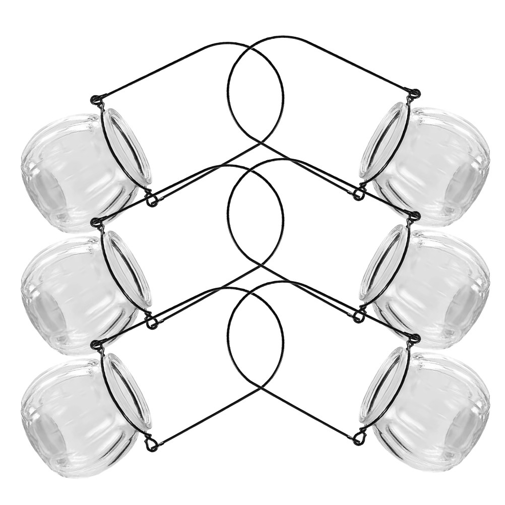 6Pcs Clear Glass Hanging Wall  - Propagation Station Vase recension och pris