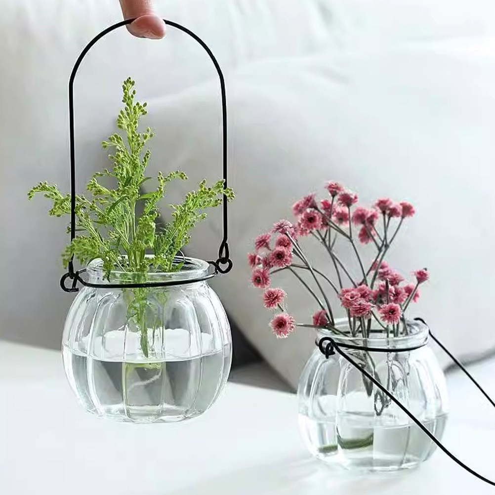 6Pcs Clear Glass Hanging Wall  - Propagation Station Vase recension och pris