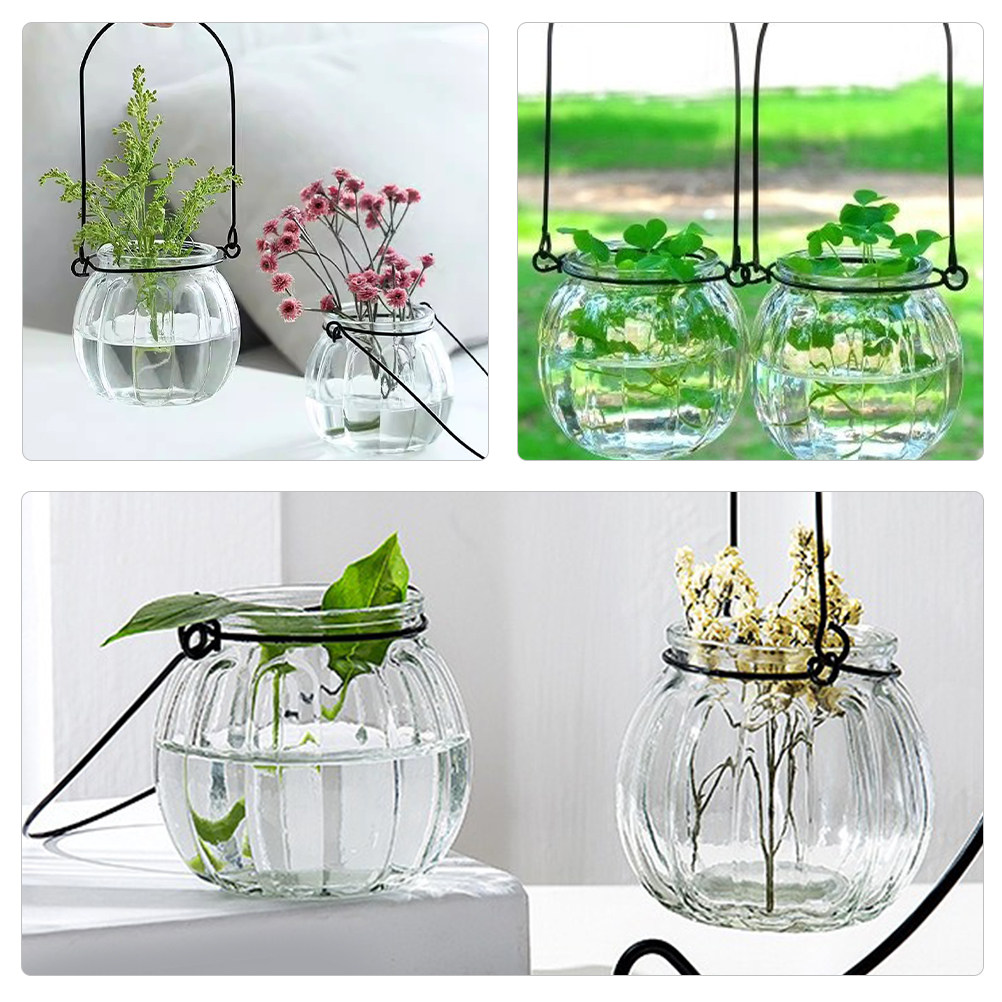 6Pcs Clear Glass Hanging Wall  - Propagation Station Vase recension och pris