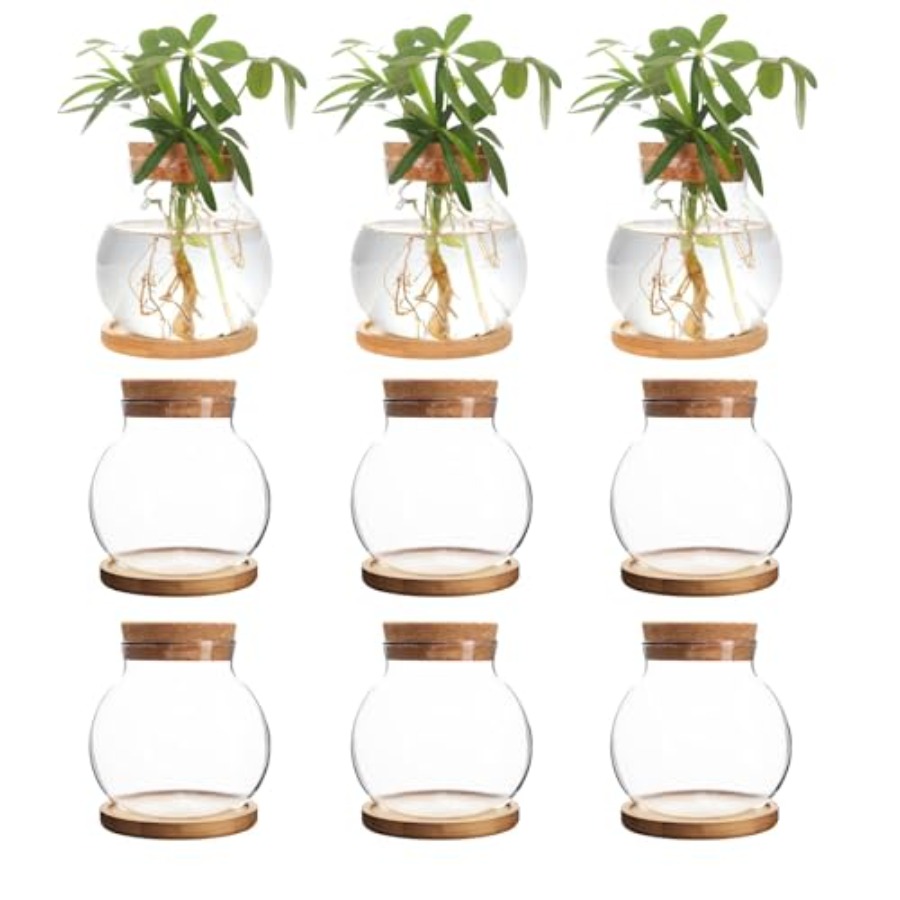 Plant Propagation Station, Hyd - Propagation Station Vase recension och pris