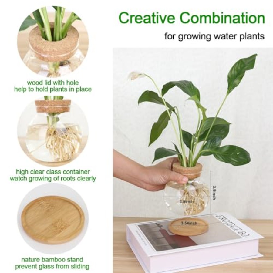 Plant Propagation Station, Hyd - Propagation Station Vase recension och pris