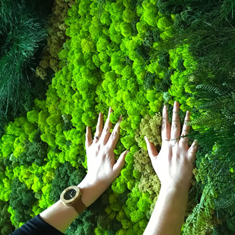 40/20g Artificial Moss Grass G - Sphagnum Moss Dry recension och pris