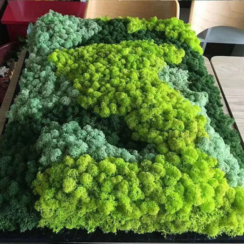 40/20g Artificial Moss Grass G - Sphagnum Moss Dry recension och pris