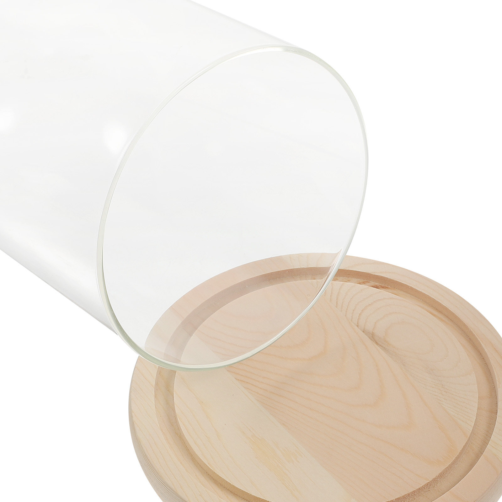 Glass Dome Display Case with B - Plastic Dome Clear recension och pris